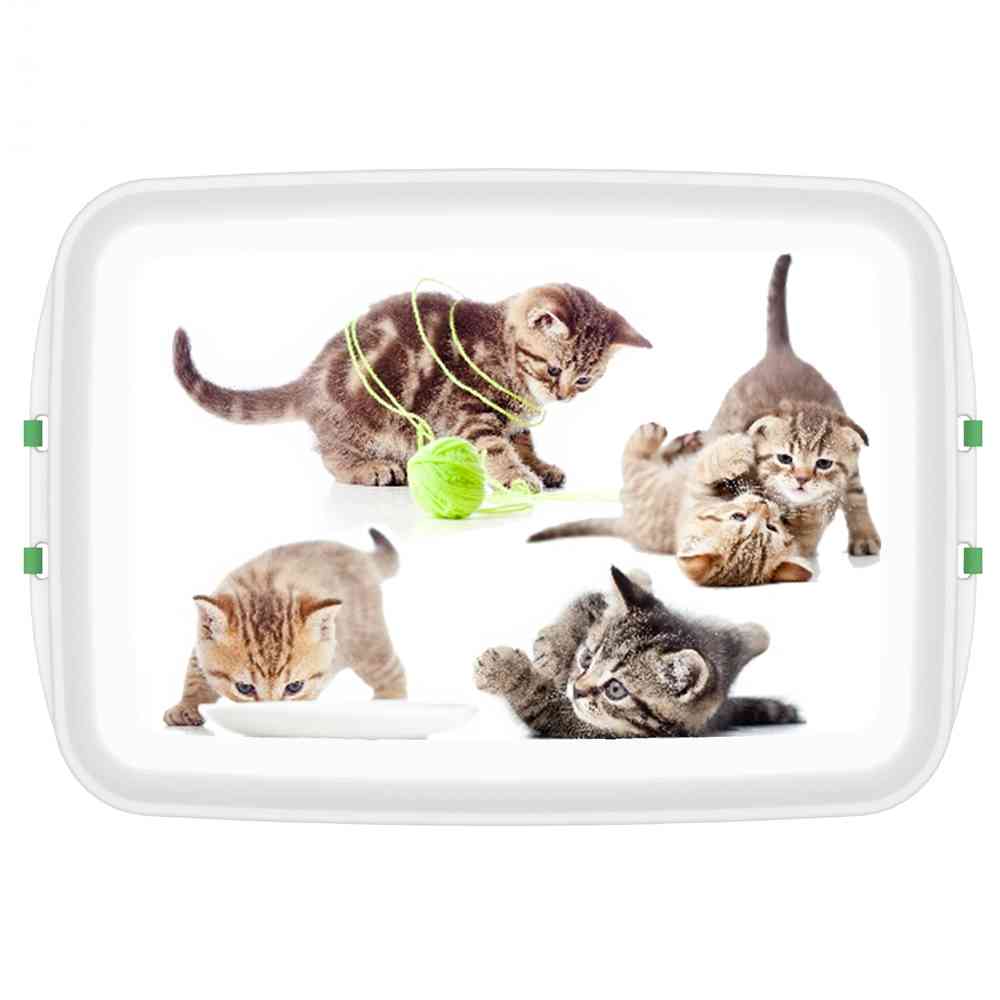 Biodora Lunchbox mit Druck Katze 12x18x5 cm