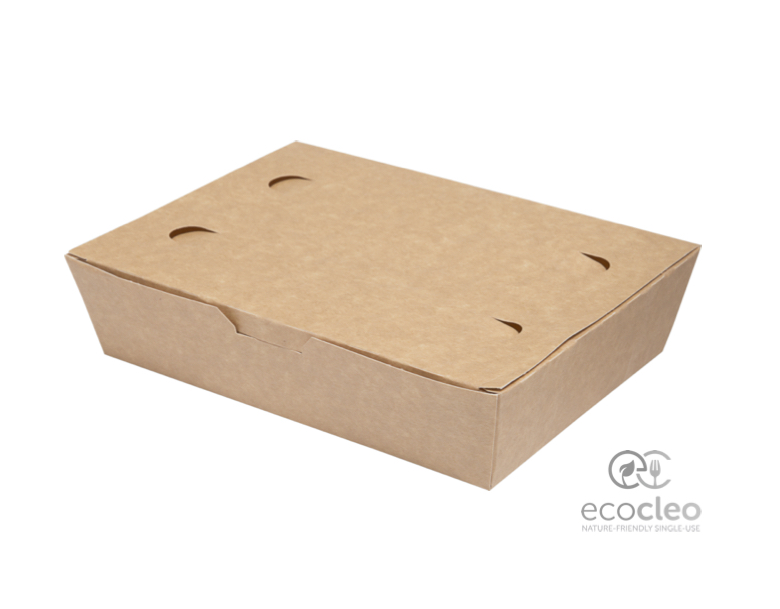 Take-away-Karton-Foodboxen XL, 1200 ml