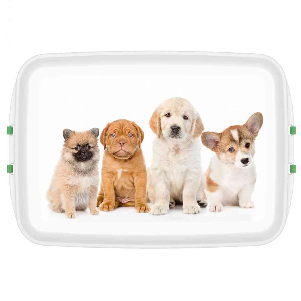 Biodora Lunchbox mit Druck Hund 12x18x5cm